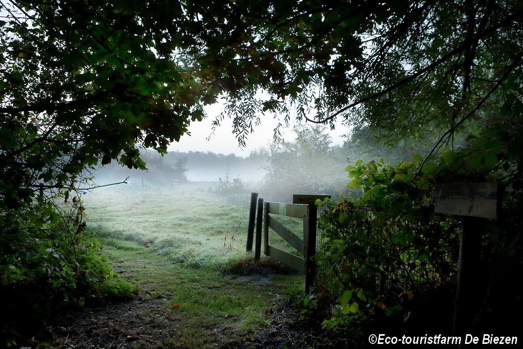 Natuurkampeerterrein De Biezen