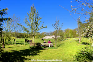 Natuurkampeerterrein De Biezen