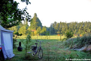 Natuurkampeerterrein De Biezen