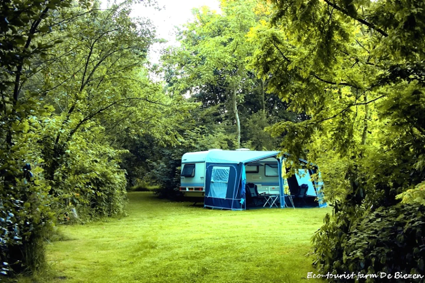 Natuurkampeerterrein De Biezen