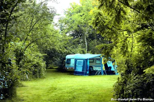 Natuurkampeerterrein De Biezen