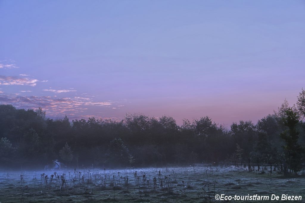 Natuurkampeerterrein De Biezen