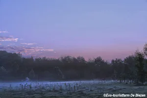 Natuurkampeerterrein De Biezen