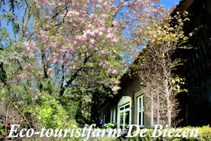 Natuurkampeerterrein De Biezen