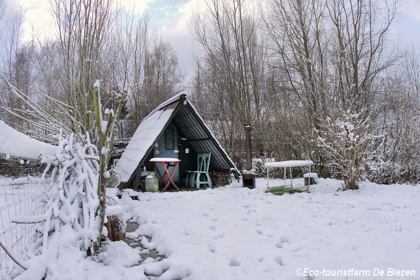 Natuurkampeerterrein De Biezen