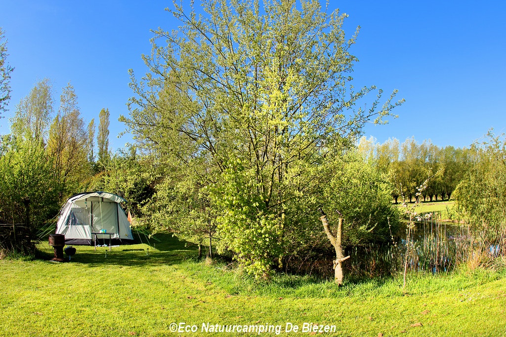 Natuurkampeerterrein De Biezen
