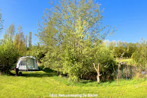 Natuurkampeerterrein De Biezen