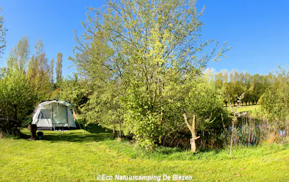 Natuurkampeerterrein De Biezen