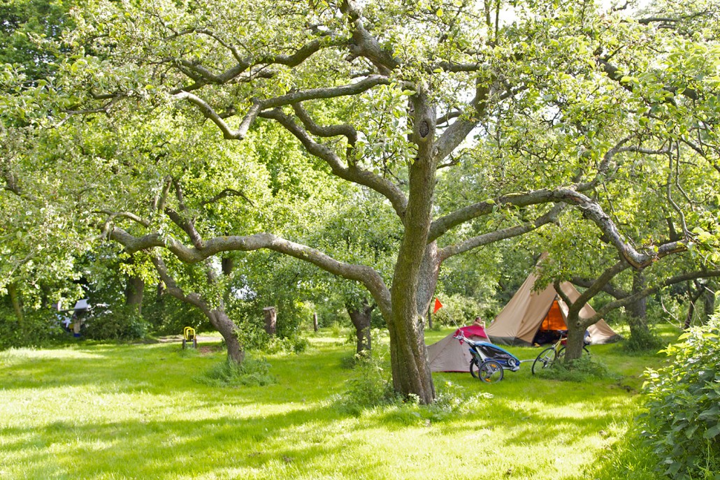 Natuurkampeerterrein De Grutto
