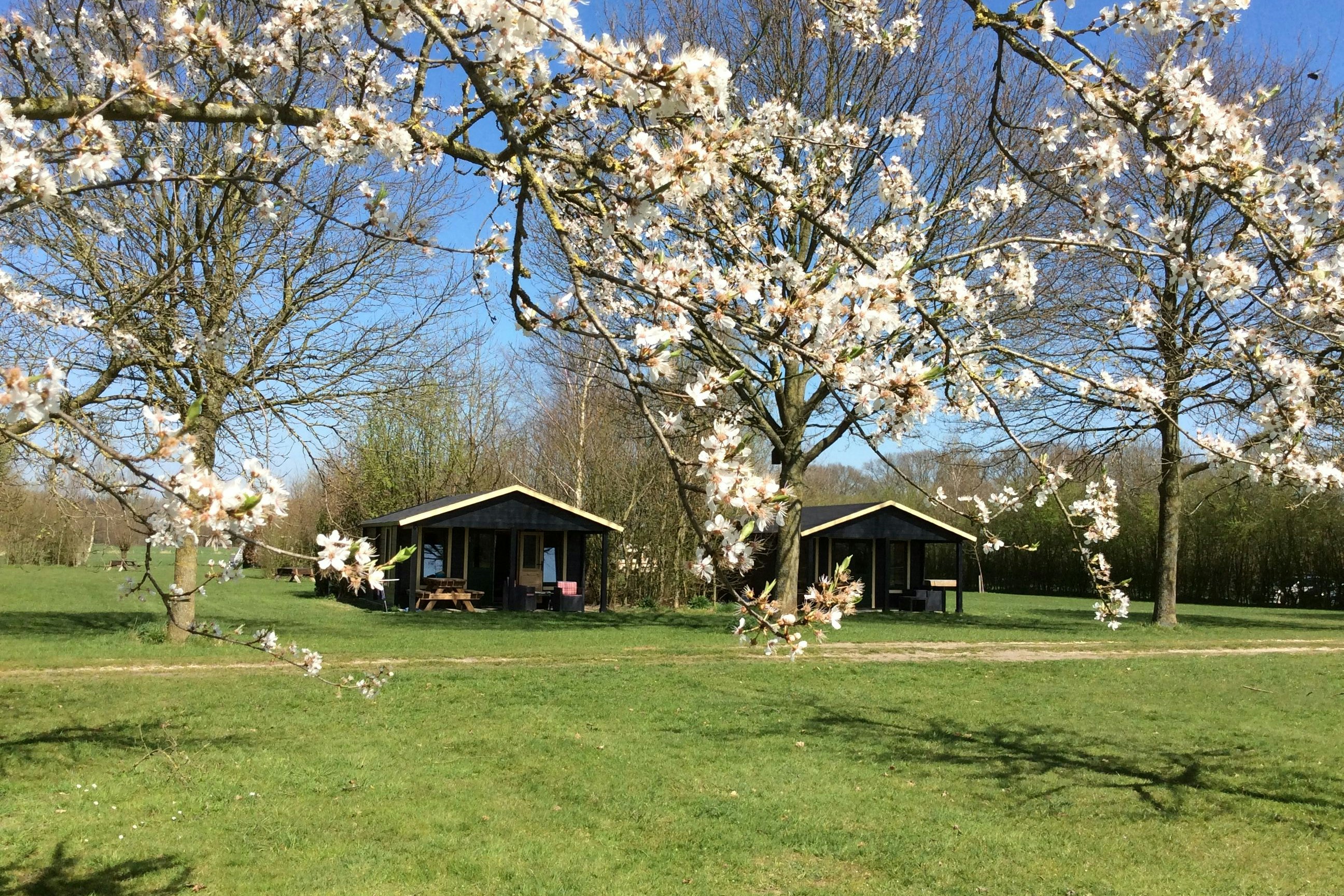 Natuurkampeerterrein De Haverkamp Außenansicht Mobilheime auf dem Campingplatz