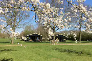 Natuurkampeerterrein De Haverkamp Außenansicht Mobilheime auf dem Campingplatz