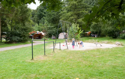 Natuurkampeerterrein De Klashorst