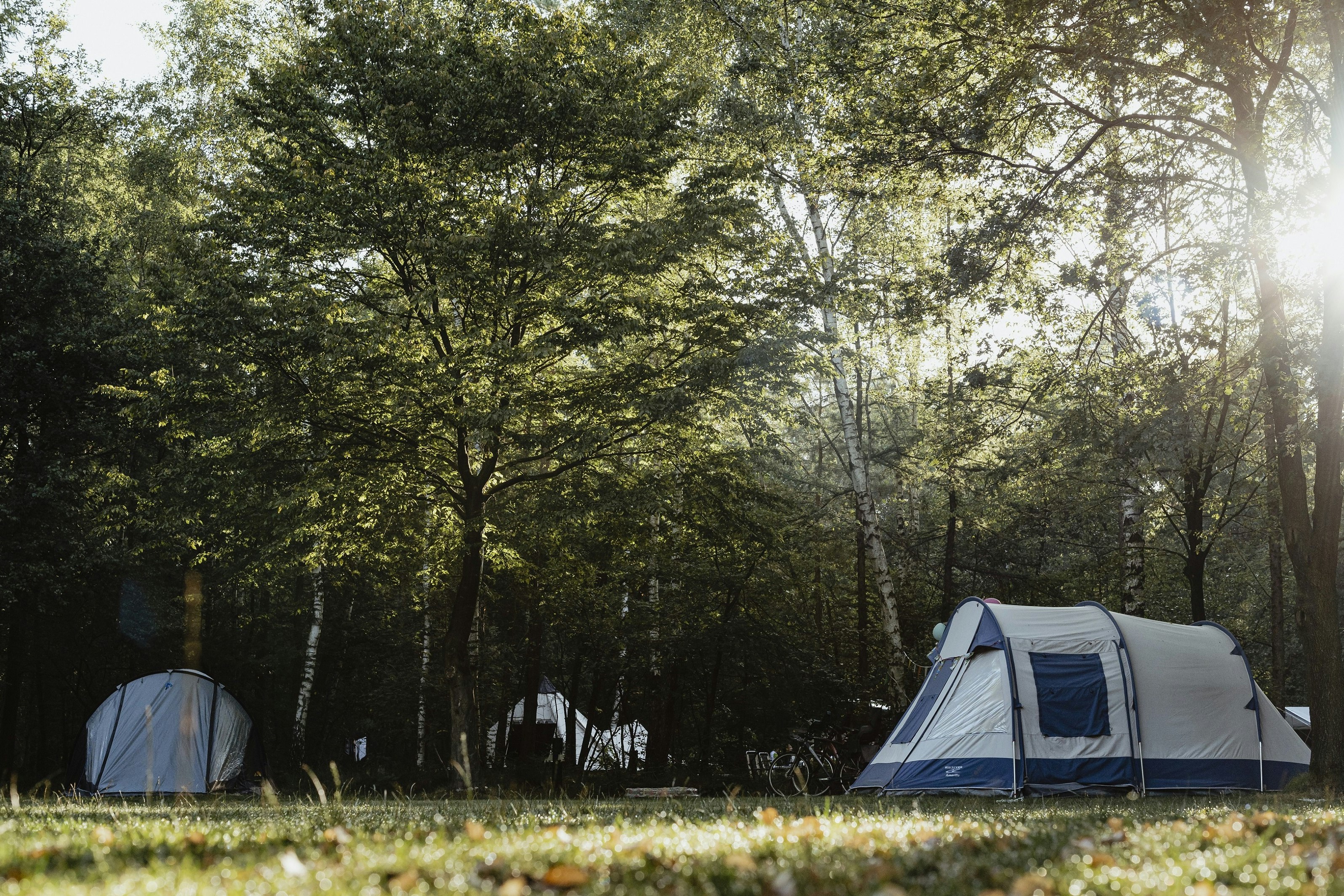 Natuurkampeerterrein De Lier - Zelte auf dem Campingplatz