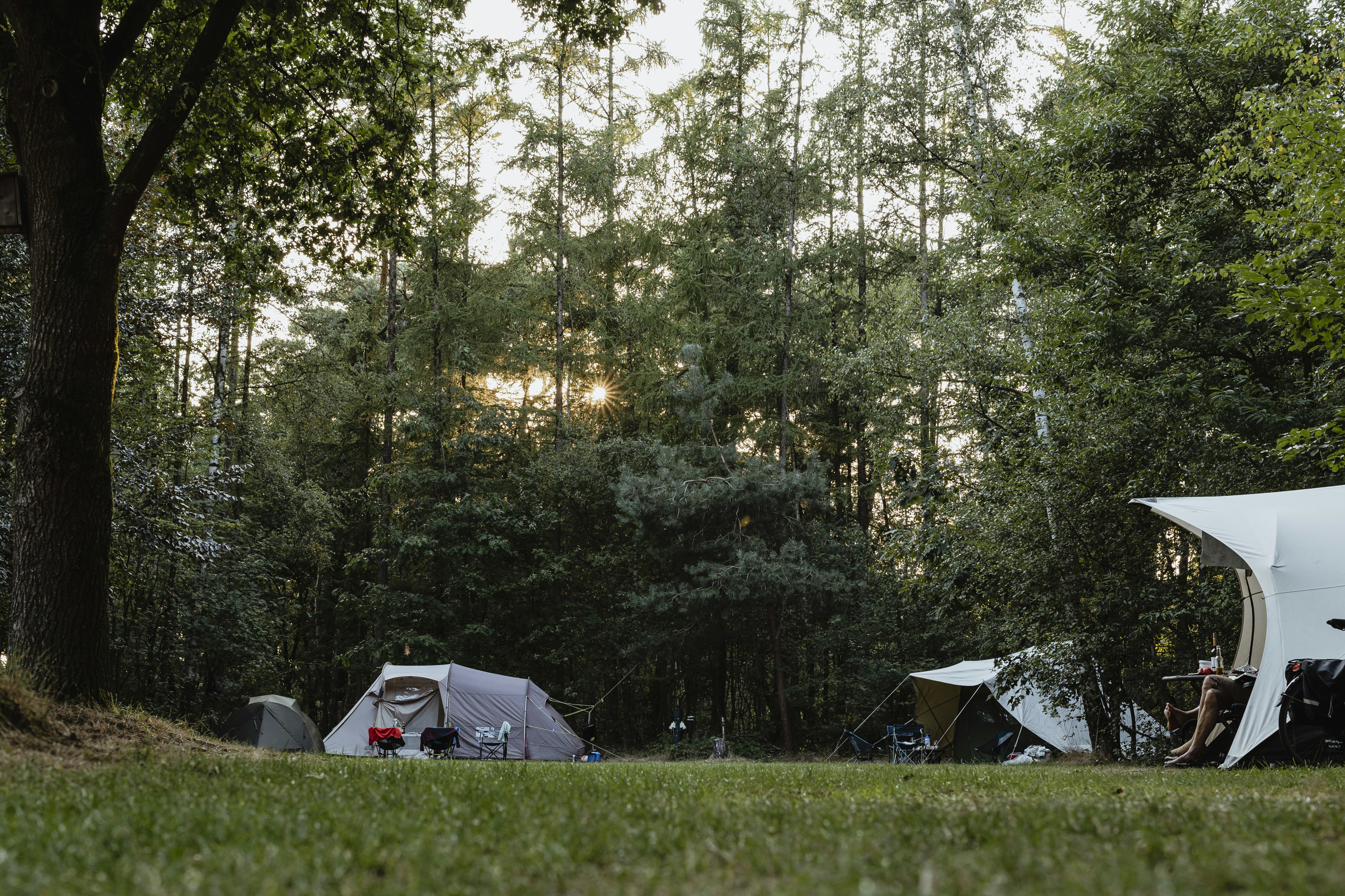 Natuurkampeerterrein De Lier - Zeltplätze auf dem Campingplatz