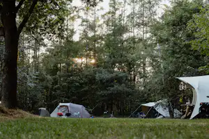 Natuurkampeerterrein De Lier - Zeltplätze auf dem Campingplatz