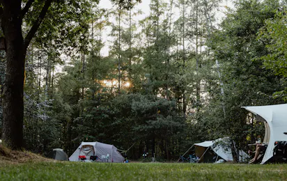 Natuurkampeerterrein De Lier