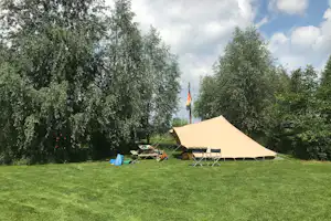 Natuurkampeerterrein De Maasakker - Zelt auf dem Campingplatz