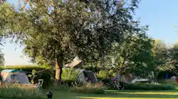 Natuurkampeerterrein De Maasakker