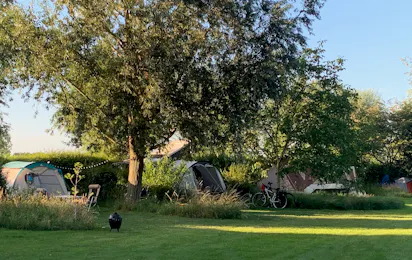 Natuurkampeerterrein De Maasakker