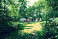 Natuurkampeerterrein De Meene -  Zeltstellplätze im Grünen auf dem Campingplatz