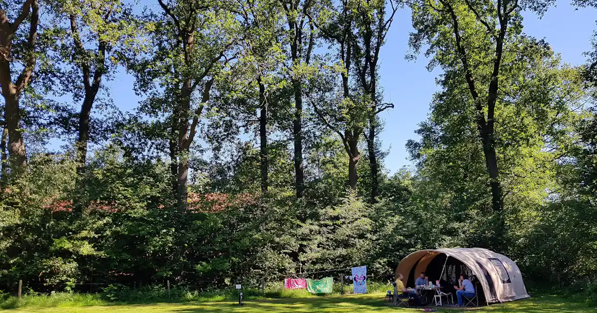 Natuurcamping De Meene photo 5