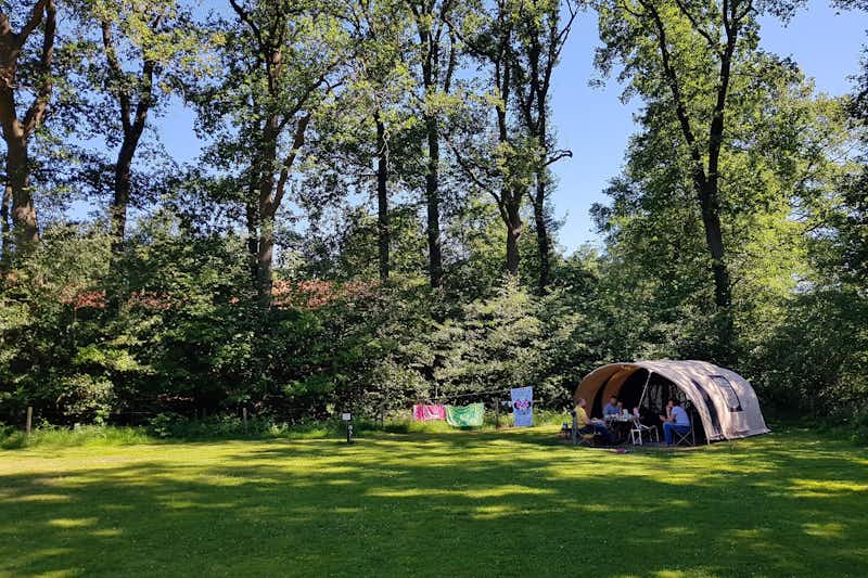 Natuurkampeerterrein De Meene - Wohnwagen- und Zeltstellplatz vom Campingplatz im Grünen