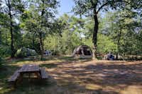 Natuurkampeerterrein De Meene - Zelte unter Bäumen im Hintergrund und ein Picknicktisch im Vordergrund