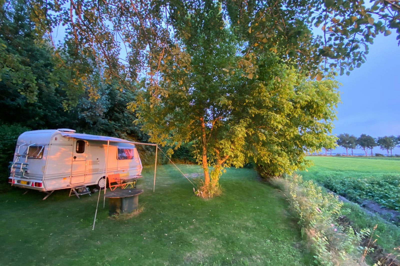 Natuurkampeerterrein Entourage - Standplatzwiese auf dem Campingplatz