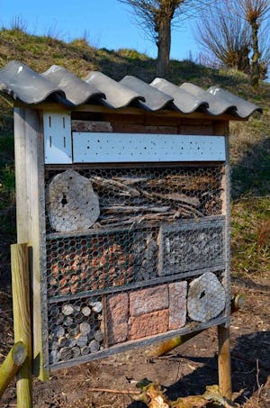 Natuurkampeerterrein Fort WKU