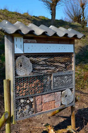 Natuurkampeerterrein Fort WKU