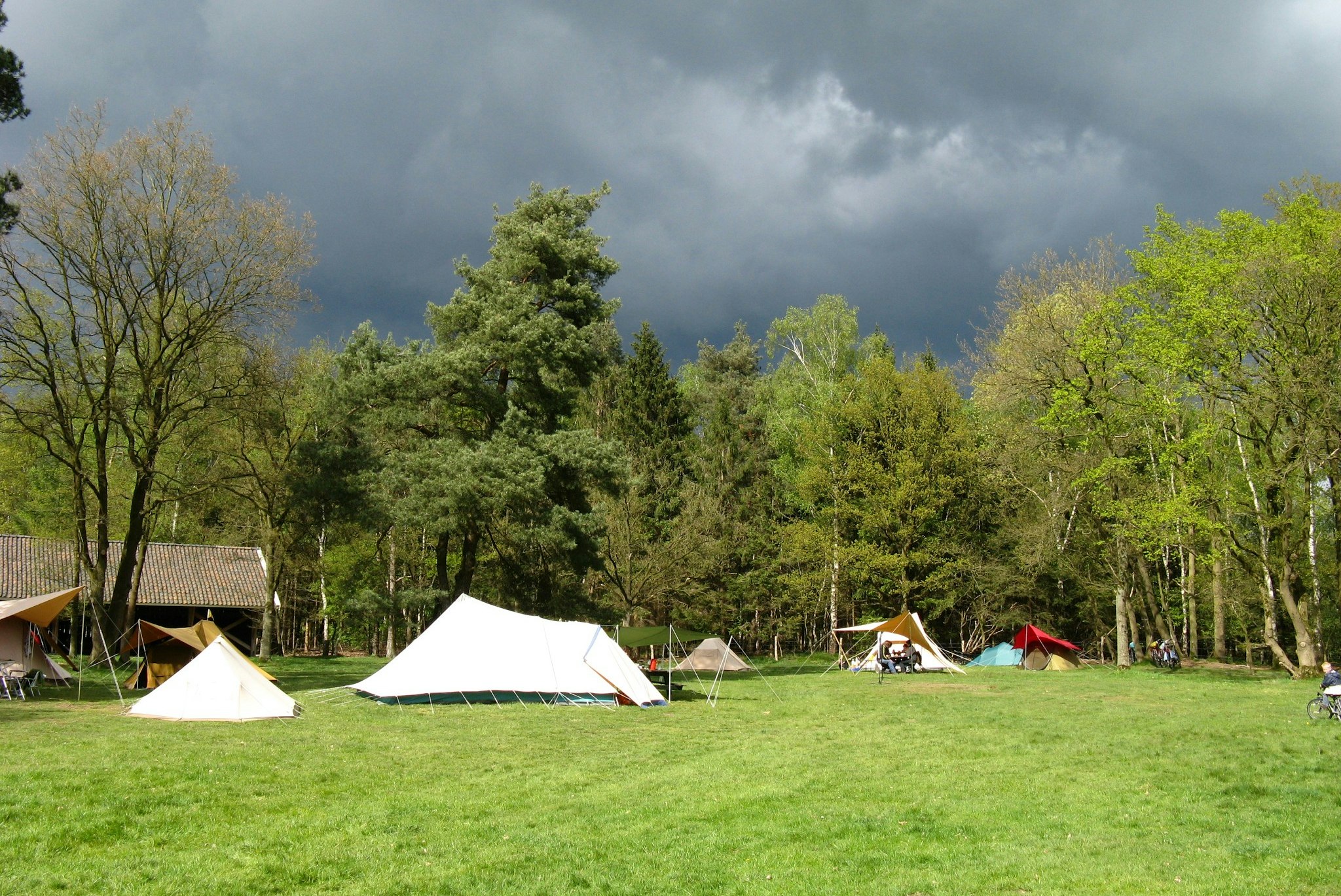 Natuurkampeerterrein Het Hallse Hull