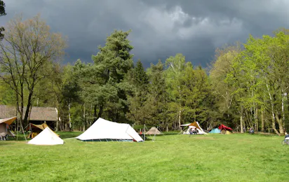 Natuurkampeerterrein Het Hallse Hull