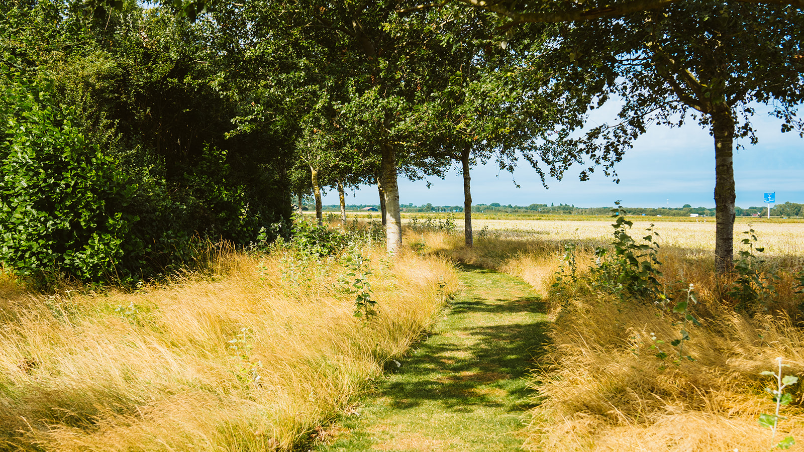 Natuurkampeerterrein Hoeve Batenburg