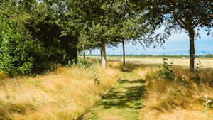 Natuurkampeerterrein Hoeve Batenburg