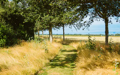 Natuurkampeerterrein Hoeve Batenburg