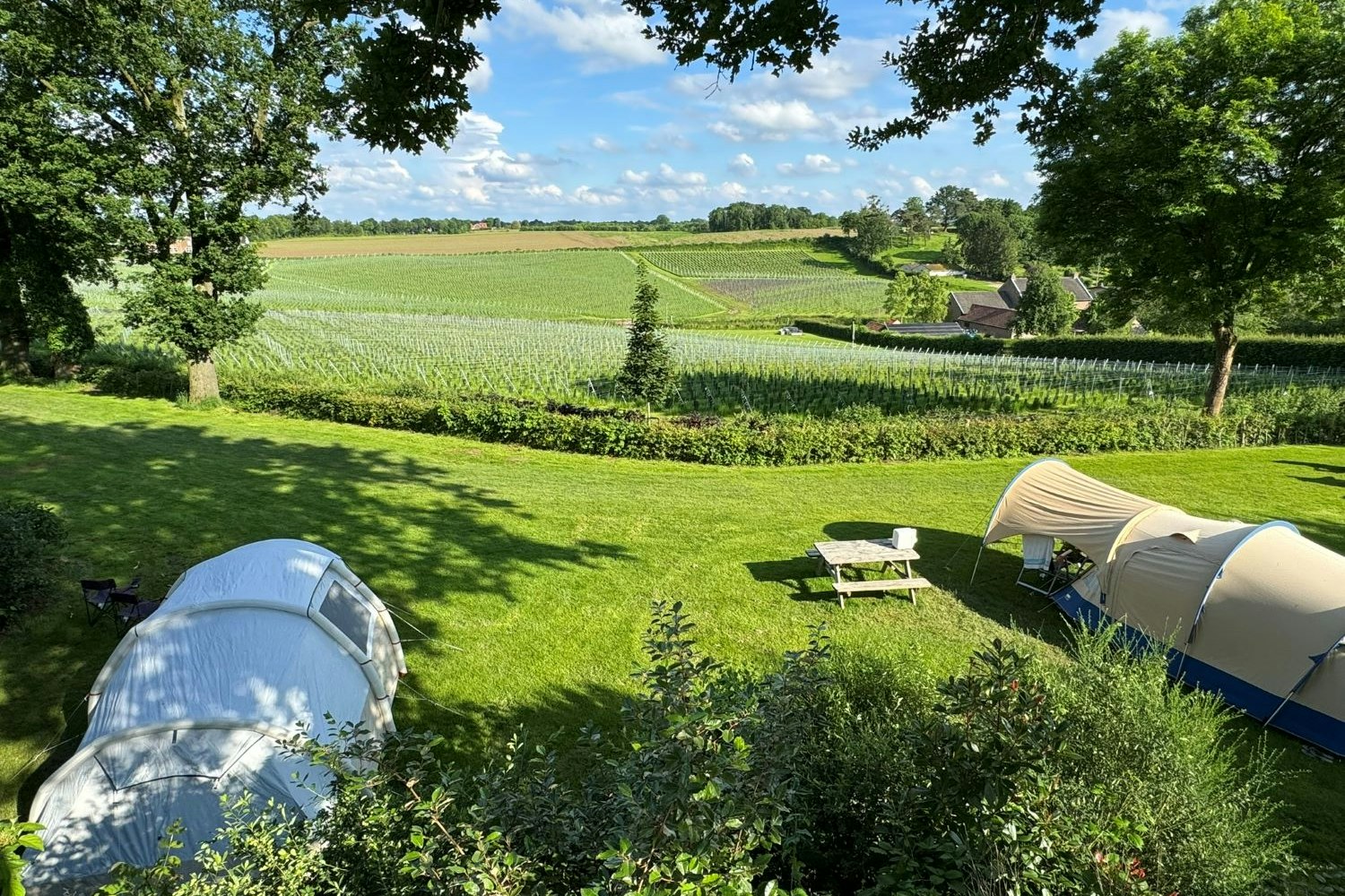 Natuurkampeerterrein Hoeve Krekelberg - Zeltplätze mit Aussicht in die Umgebung