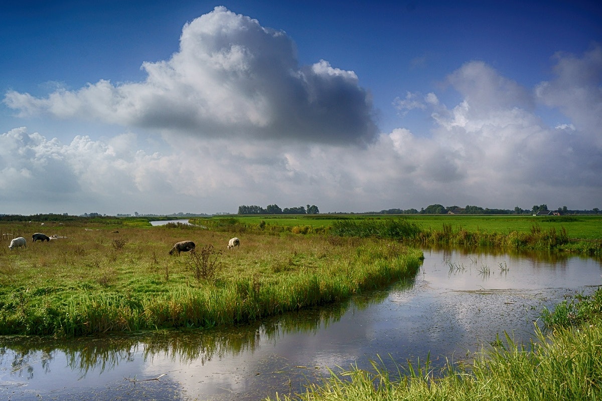Natuurkampeerterrein it Dreamlân - Blick auf den Fluss am Campingplatz