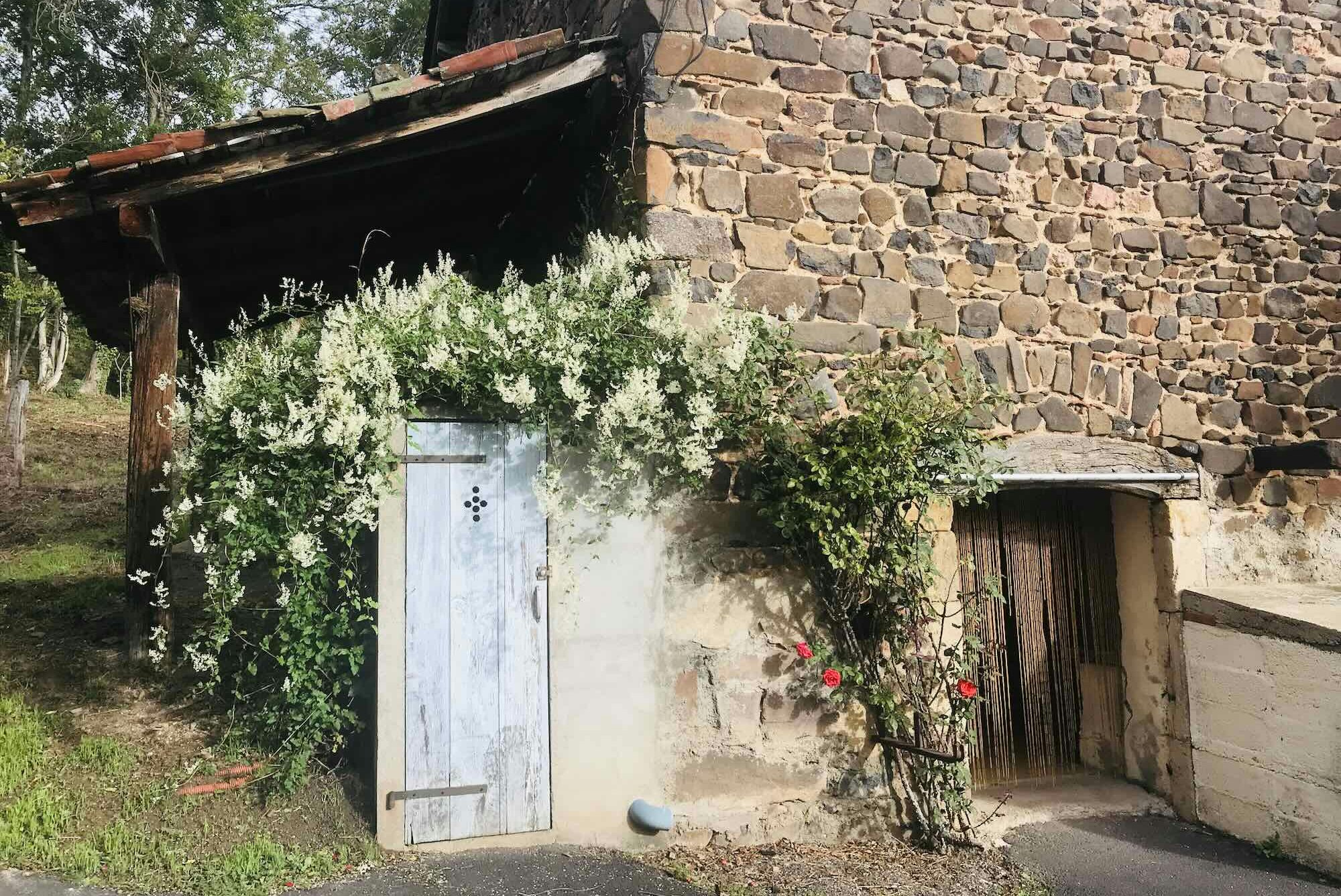 Steinhaus mit weißer Tür, davor Weinreben und Rosen, im Hintergrund eine große Steinmauer und ein Holzbalken.