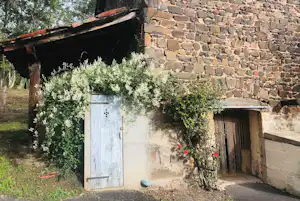 Steinhaus mit weißer Tür, davor Weinreben und Rosen, im Hintergrund eine große Steinmauer und ein Holzbalken.