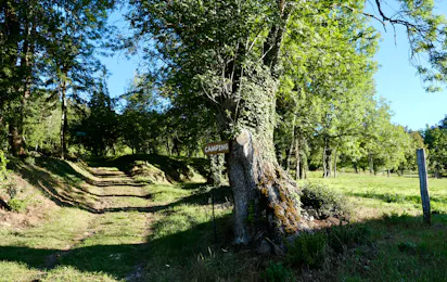 Natuurkampeerterrein La Buse