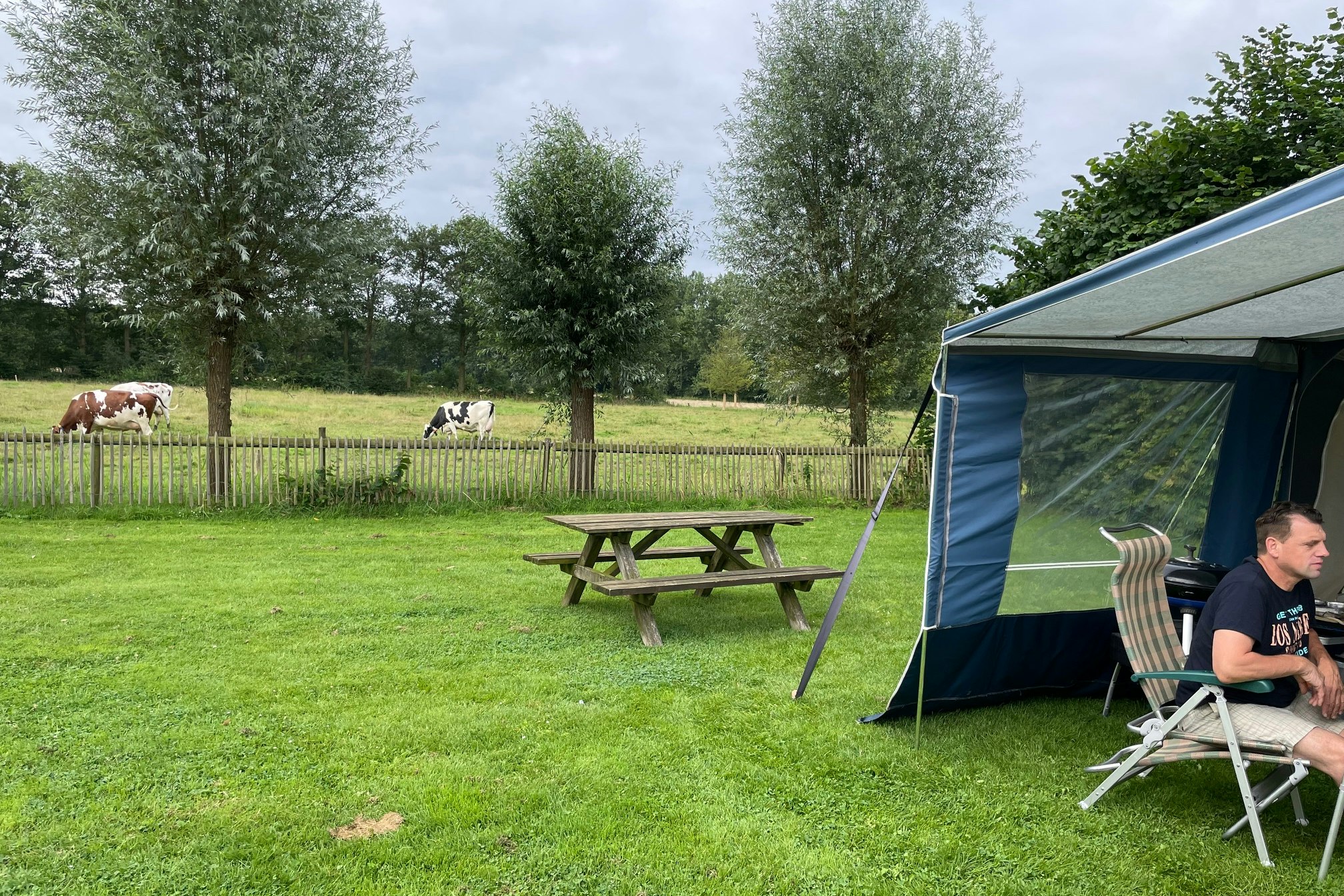 Natuurkampeerterrein Landgoed de Barendonk - Standplatzwiese auf dem Campingplatz