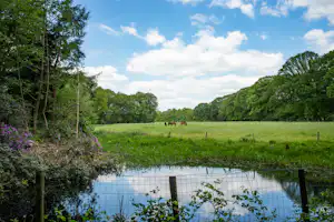 Natuurkampeerterrein Landgoed de Hoevens - Blick in die Natur in der Umgebung des Campingplatzes