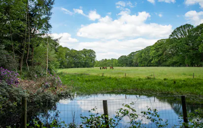 Natuurkampeerterrein Landgoed de Hoevens