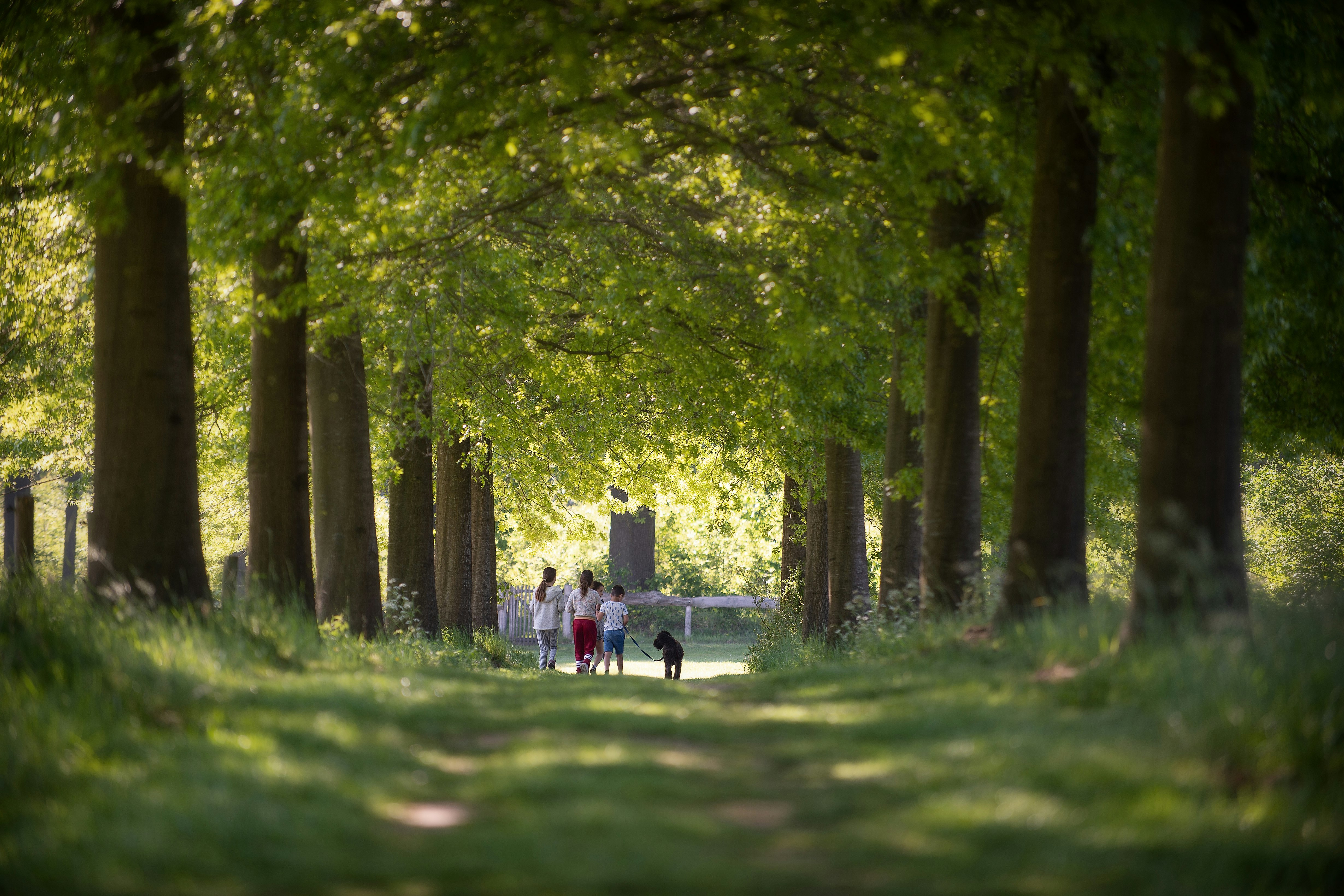 Natuurkampeerterrein Landgoed de Hoevens - Spazierwege in der Umgebung des Campingplatzes