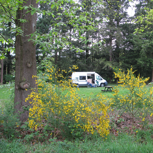 Natuurkampeerterrein Landgoed Het Zand Hattemer Oldenburger