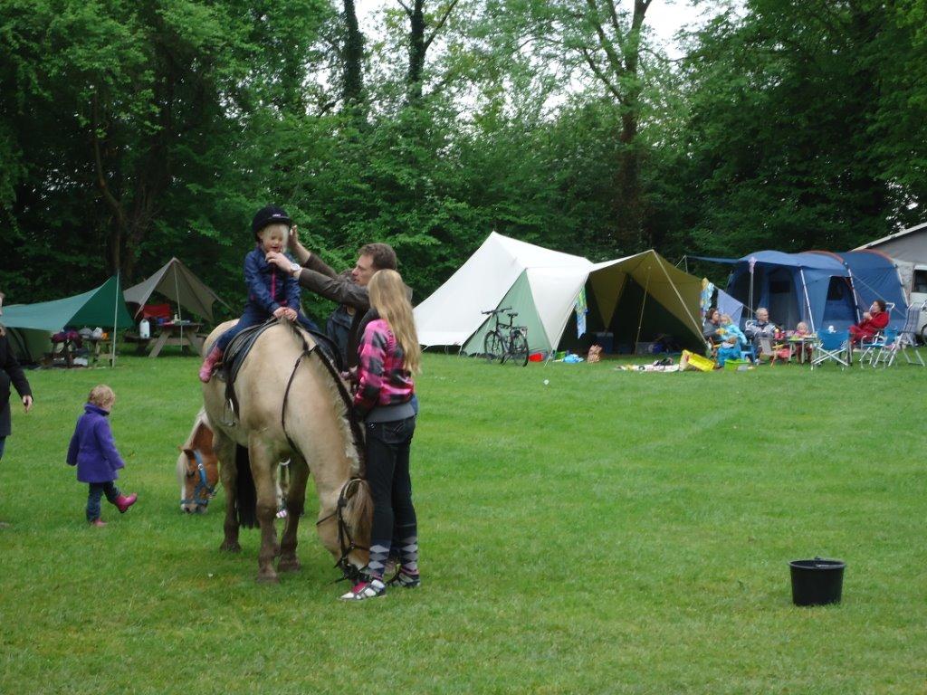 Natuurkampeerterrein Landgoed Old Putten