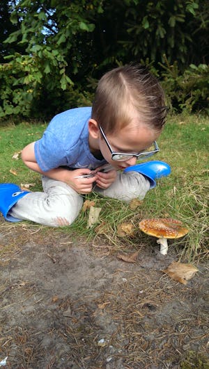 Natuurkampeerterrein Landgoed Old Putten