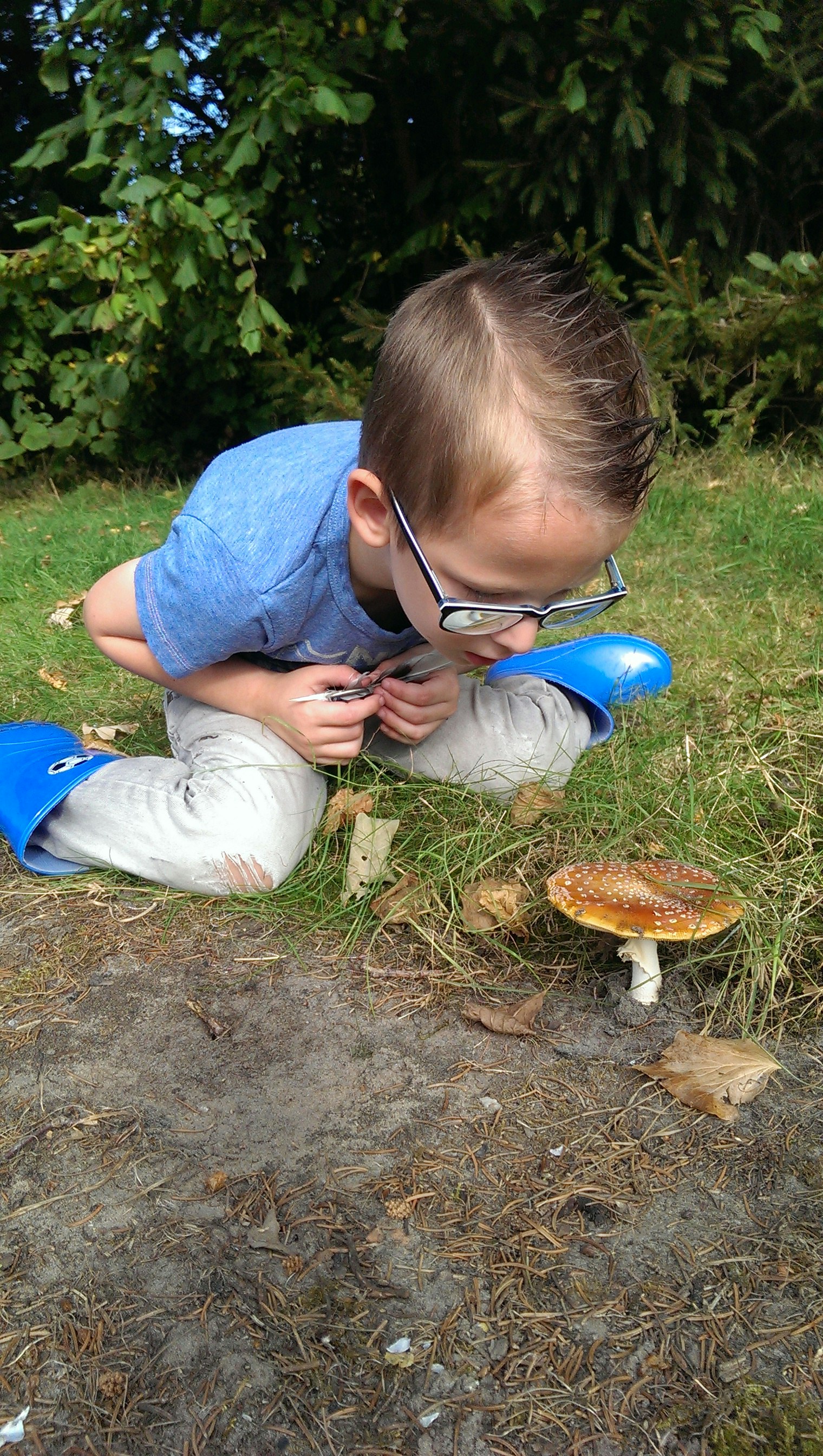 Natuurkampeerterrein Landgoed Old Putten