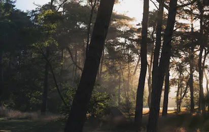 Natuurkampeerterrein Landgoed Quadenoord