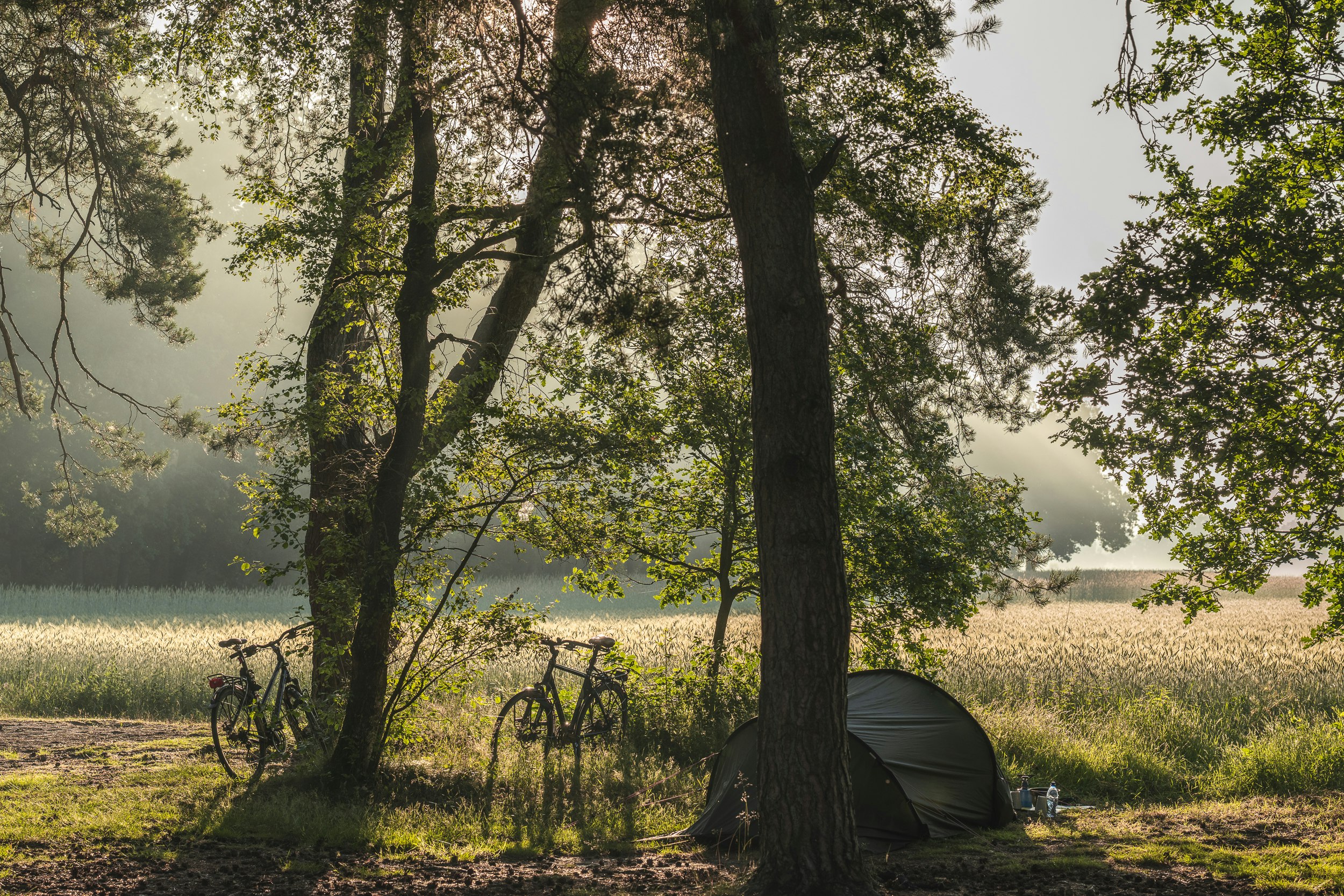 Natuurkampeerterrein Landgoed Quadenoord